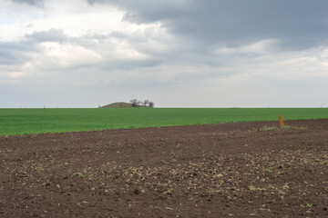 spring landscape of half-plowed field and green grass, against the backdrop of a cloudy sky