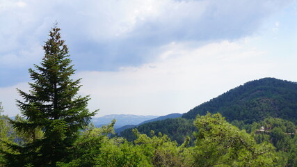 Obraz premium landscape, mountain, sky, nature, mountains, forest, clouds, travel, green, view, cloud, hill, summer, trees, tree, sea, outdoors, panorama, scenic, fog, blue, tourism, grass, valley, beauty