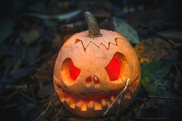 Jack O Lantern, with an evil facenear fallen tree overgrown with moss in forest.. Carved pumpkin for Halloween night woods. Halloween evening background with place for text