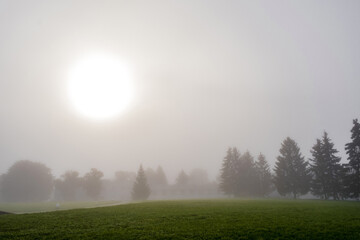A large disk of the sun on a gray background of the sky and the contours of trees in the early foggy morning.