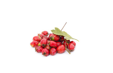 Hawthorn berries with leaves.