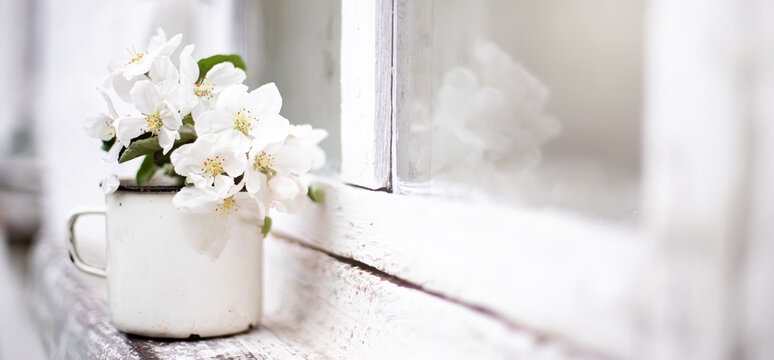 still life with mug with flowering branch of apple tree on white window sill near an old wooden window. Vintage image. Spring background.