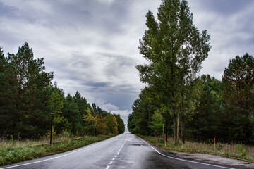 Naklejka premium autumn road after rain road between forest