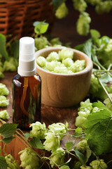 Hops essential oil or herbal water is good for skin and hair care, glass amber bottle with natural extract on rustic wooden background, closeup, organic cosmetics and naturopathy concept