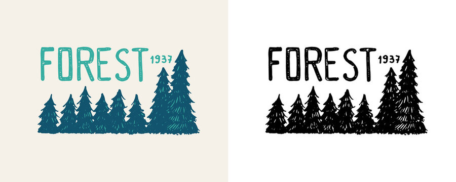 Christmas trees emblem or badge. Fir forest. Engraved hand drawn in old vintage sketch. Doodle Wooden travel logo. Hiking sticker. 