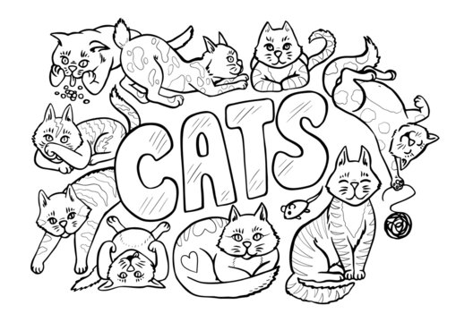 Cute Cats Anti Stress Coloring Page. Black and white hand drawn Cats playing and having fun, poster design isolated, vector illustration