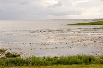 Sea and salt marshes on the North Sea coast 