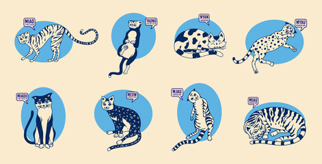 Cute cats in various poses against the background of the sun. Language differences. Funny Kitties. Onomatopoeic word for the miau or meow sound. 
