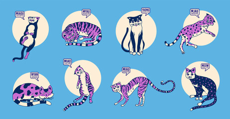 Cute cats in various poses against the background of the sun. Language differences. Funny Kitties. Onomatopoeic word for the miau or meow sound. 
