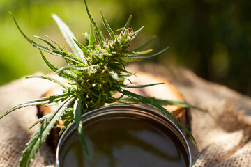 Cannabis green balm. Marijuana bud flower. Wooden log close up background.
Homemade hem