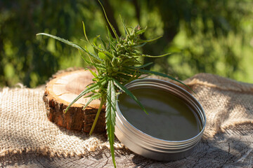 Cannabis green balm. Marijuana bud flower. Wooden log close up background.
Homemade hem
