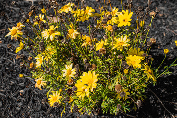 Outside in fall autumn in Vermont