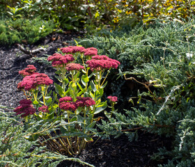 Outside in fall autumn in Vermont