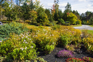 Outside in fall autumn in Vermont