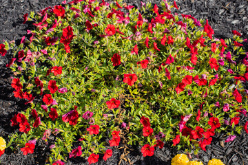Outside in fall autumn in Vermont
