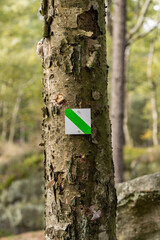 Naklejka premium Wegweiser an einem Baum