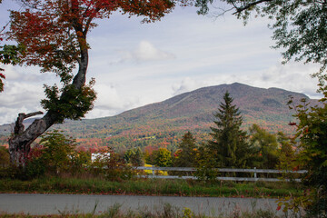Outside in fall autumn in Vermont