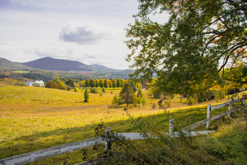 Outside in fall autumn in Vermont