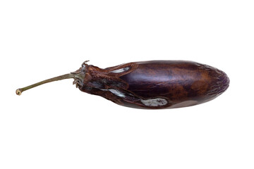Spoiled eggplant on a white background. Mold on spoiled vegetables. Rotten food. Isolated.