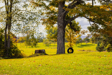 Outside in fall autumn in Vermont