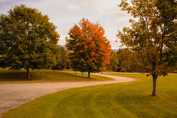 Outside in fall autumn in Vermont