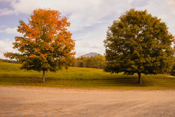Outside in fall autumn in Vermont