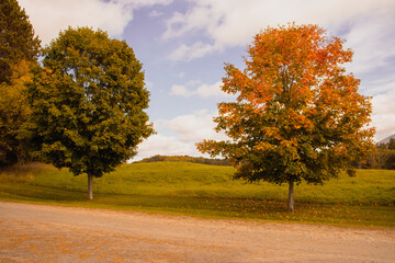 Outside in fall autumn in Vermont