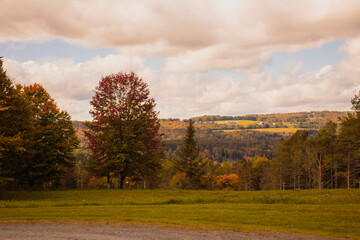 Outside in fall autumn in Vermont