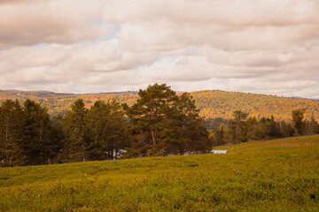 Outside in fall autumn in Vermont