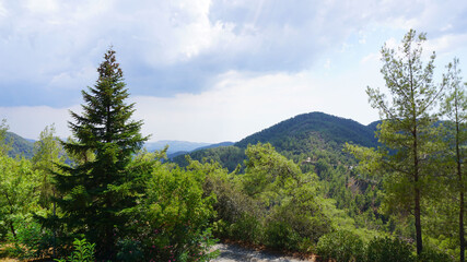 Obraz premium nature, landscape, mountain, sky, forest, road, tree, path, mountains, green, summer, grass, rock, trees, hill, travel, river, cloud, water, clouds, hiking, view, park, valley, rural