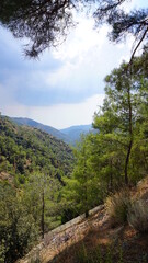 Obraz premium nature, landscape, mountain, sky, forest, road, tree, path, mountains, green, summer, grass, rock, trees, hill, travel, river, cloud, water, clouds, hiking, view, park, valley, rural