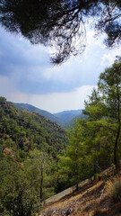 nature, landscape, mountain, sky, forest, road, tree, path, mountains, green, summer, grass, rock, trees, hill, travel, river, cloud, water, clouds, hiking, view, park, valley, rural