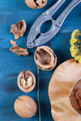 Walnuts in the shell and one peeled from the shell isolated on a blue concrete background The shells and kernels of walnuts lie next to the nutcracker on a dark surface 