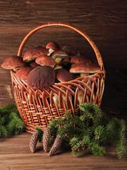 porcini mushrooms in a basket on wooden surface
