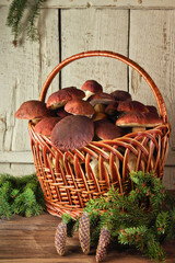 porcini mushrooms in a basket on wooden surface