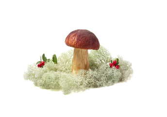 porcini mushroom isolated on a white background