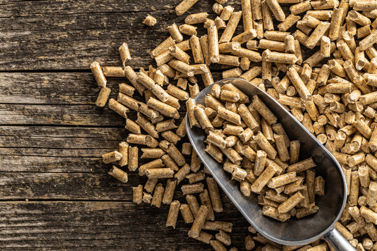 Wooden pellets in scoop. Ecological heating.