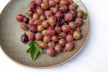 Red gooseberry berries in a clay plate on a white background. Collected in the summer from a gooseberry bush.