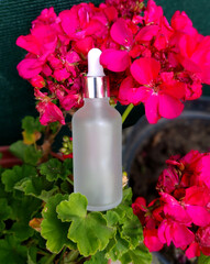 glass flask and pink flover