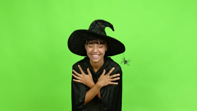 Young woman wearing witch hat keeping the arms crossed while smiling over isolated background. Green screen chroma key