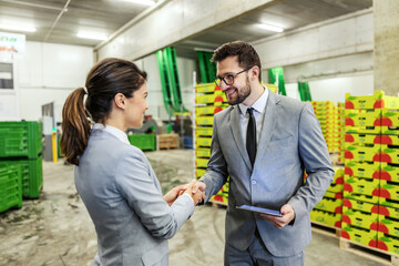 Successfully completed work. A man and a woman in a business suit shake hands and conclude a deal for the warehouse business. A businesswoman and a businessman at work successfully make a deal