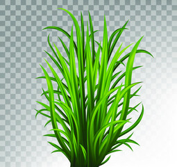 Green grass set. Fresh herb: natural, organic, bio, eco label and shape isolated on white background. Vector illustration.