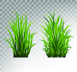 Green grass set. Fresh herb: natural, organic, bio, eco label and shape isolated on white background. Vector illustration.
