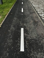 Vertical top view shot of a wet cycle lane outdoors in the autumn