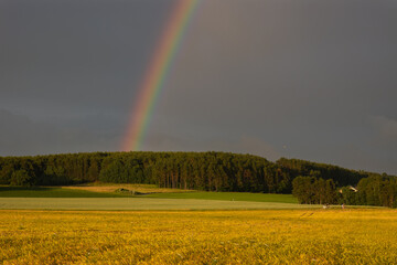 End of the Rainbow over the forrest