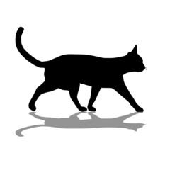 Black cat walking silhouette on white background with shadow