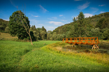 Wooden bridge (platform) located next to lake in Beski Niski - Podkarpacie, Poland.   - obrazy, fototapety, plakaty