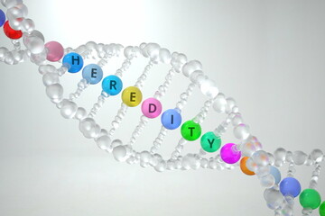 DNA molecule with HEREDITY text. 3D rendering