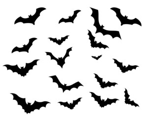 Bats Black Objects Vector Signs Symbols  Illustration With White Background