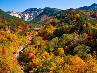 十勝岳温泉の紅葉 